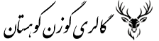 گالری گوزن کوهستان